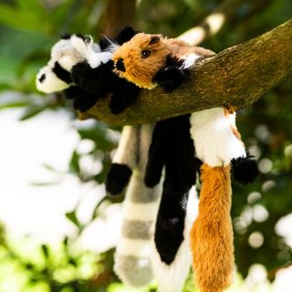 🐩𝐒𝐩𝐨𝐥𝐞𝐜̌𝐞𝐧𝐚́ 𝐡𝐫𝐚 je skvělý způsob jak posílit Váš vztah. 🐾🩷 💡 Pomáhá psovi vybít přebytečnou energii, rozvíjí jeho...