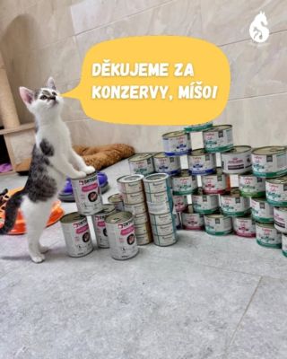 Niko moc děkuje za dar v podobě kvalitních konzerv Míše Mizerové 🩷 Konzervy a kočkolit u nás mizí velmi rychle, takže je...