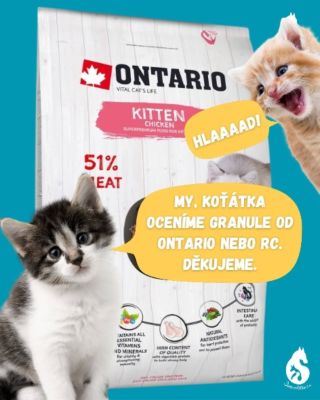Někdy se nás ptáte, co potrebujeme. Kromě věčně potřeby kočkolitu momentálně velmi uvítáme kotěcí granulky 🙏 osvědčily se...