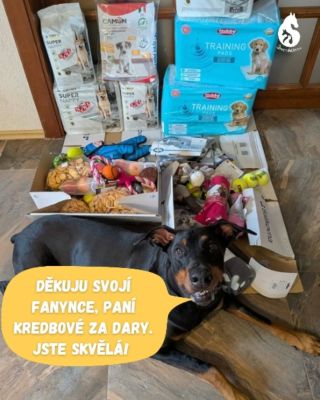 Moc děkujeme paní Kredbové za úžasnou zásobu psích potřeb 🩷 Moc si vážíme vaší materiální podpory pro naše pesany i...