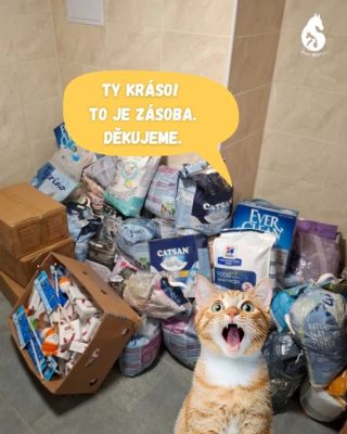 Děkujeme Zoohitu a Psímu životu za kočkolit, krmivo a pamlsky pro naše svěřence. 🥰 Jako vždy patří dík za přerozdelení...