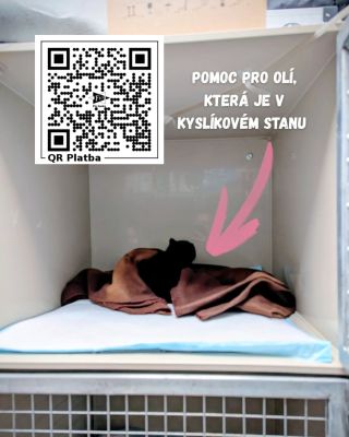 Maličká Olí právě bojuje se zápalem plic zřejmě bakteriálního původu 😔 Je v kyslíkovém stanu a dostala antibiotika. Je to...