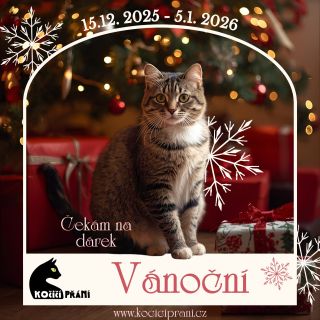 Dnešním dnem startuje každoroční vánoční @kociciprani 💓🎄Můžete filtrovat kočky podle krajů nebo útulků a obdarovávat je...
