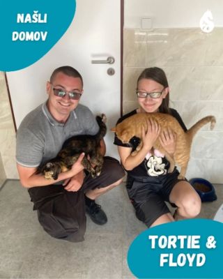 Od podzimu jsme se rádi rozloučili s kočenkami, které odešly do skvělých rodin ❤️ Tortie s Floydem, Lestatka, Pixie,...