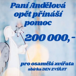 💫 S obrovskou vděčností a radostí bychom se s vámi chtěli podělit o krásnou vánoční zprávu 🎄✨ Paní ANDĚLOVÁ k nám o...